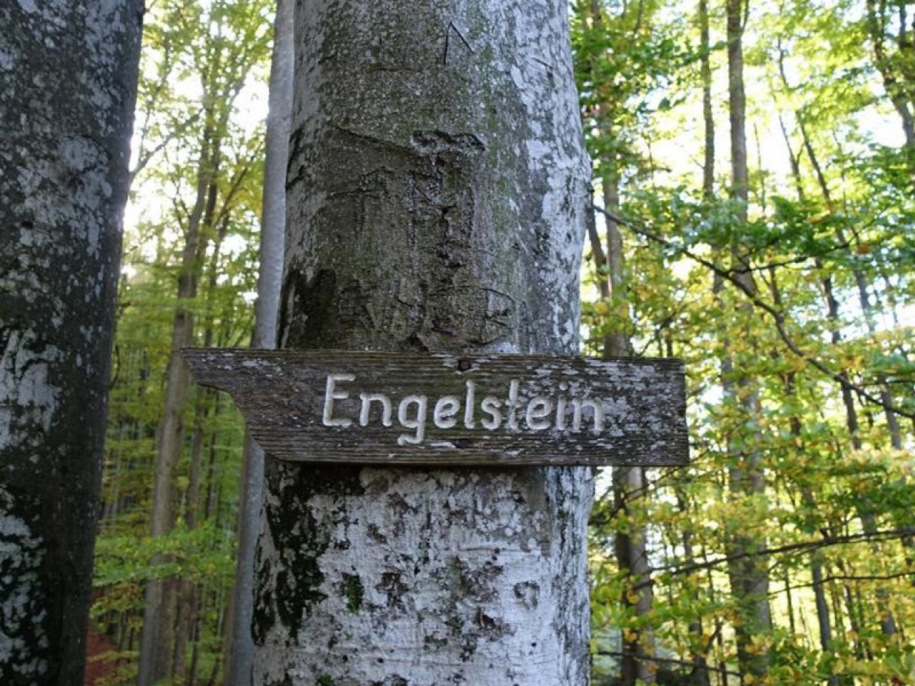 Wohngruppe Engelstein